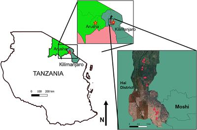 Understanding farmer knowledge and site factors in relation to soil-borne pests and pathogens to support agroecological intensification of smallholder bean production systems